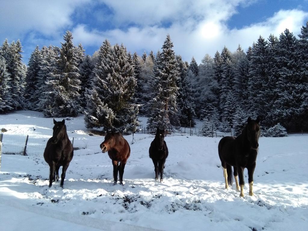 Agriturismo Valsaviore Cevo Esterno foto